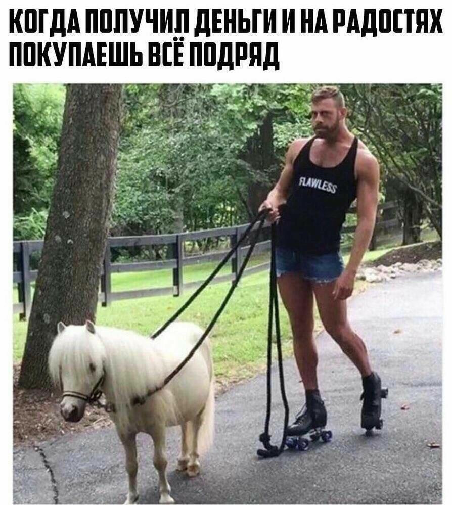 Опаньки картинки