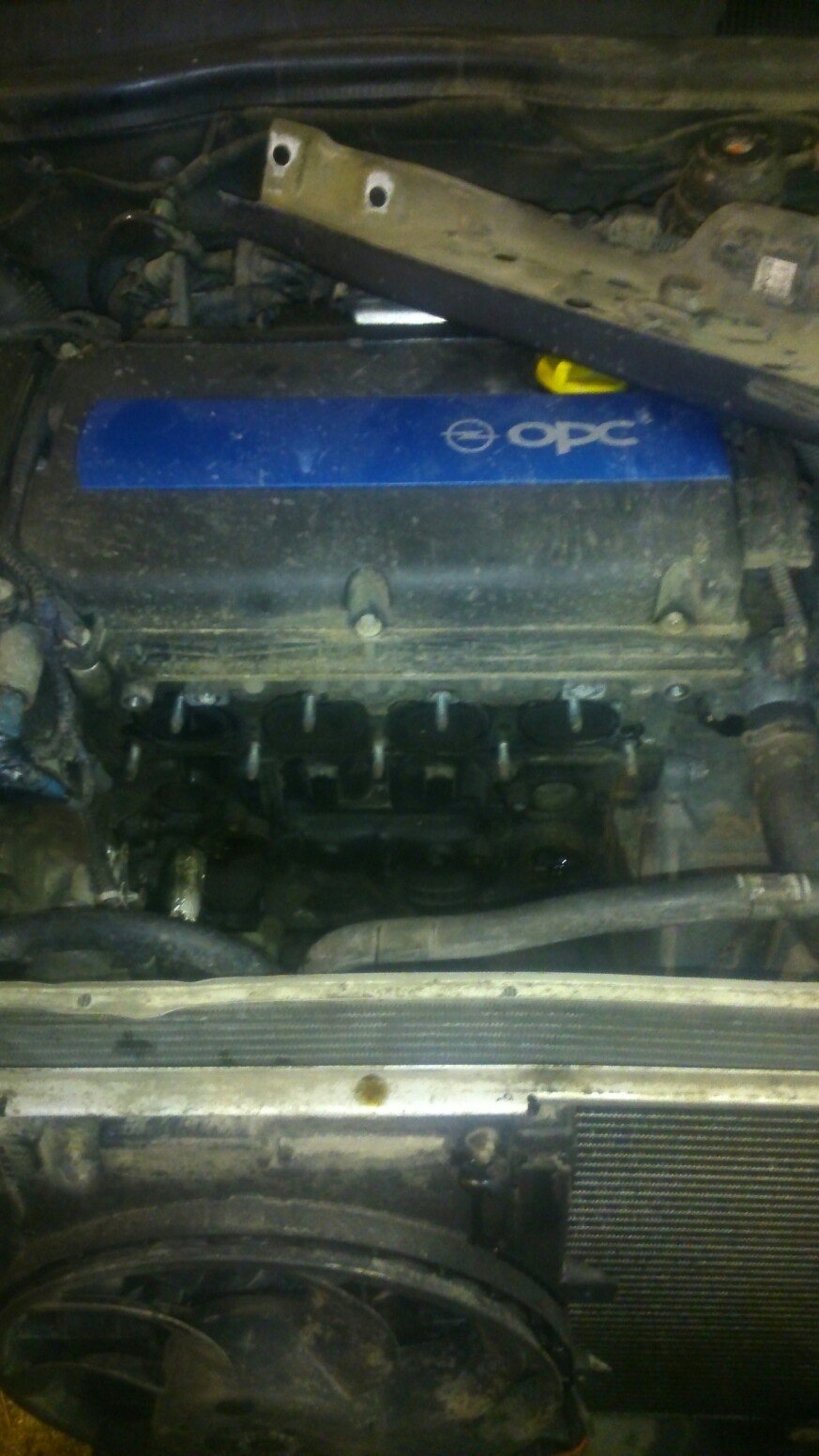 Замена прокладок маслоохладителя на XER двигателях — KWDmotors на DRIVE2