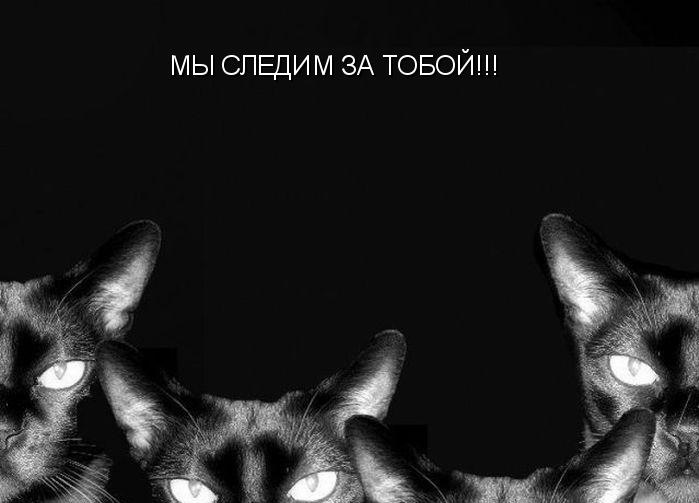 картинки с надписями меня нет онлайн