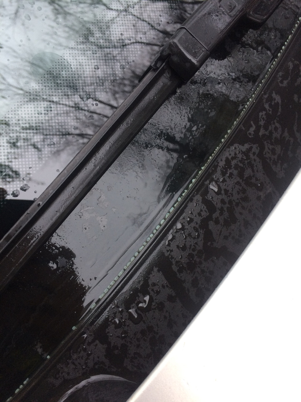 Вопрос по лобовому стеклу — Volkswagen Tiguan (1G), 2 л, 2011 года ...