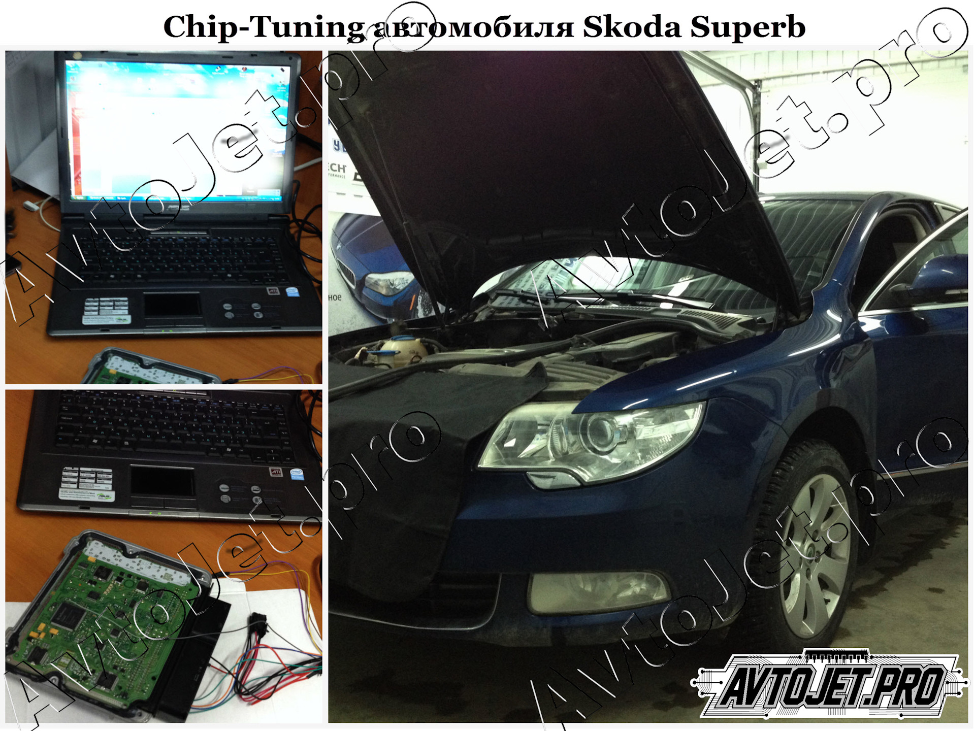 Чип тюнинг новосибирск. Chip Tuning Pro 7. Чип тюнинг Skoda волк. Тюнинг автомобильного номера. Чип тюнинг Шкода Суперб 2 литра дизель.