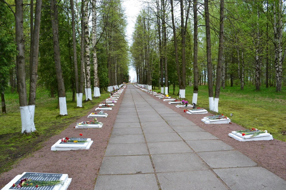 Фото мемориала синявинские высоты