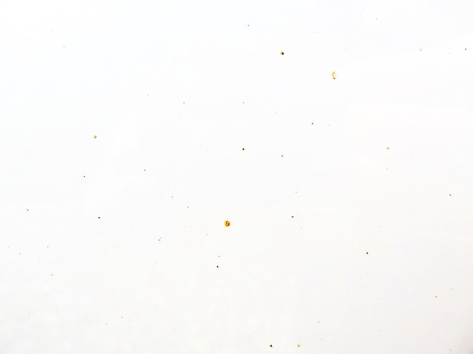 Очищение кузова от металлической пыли — Chevrolet Cruze (1G), 1,6 л ...