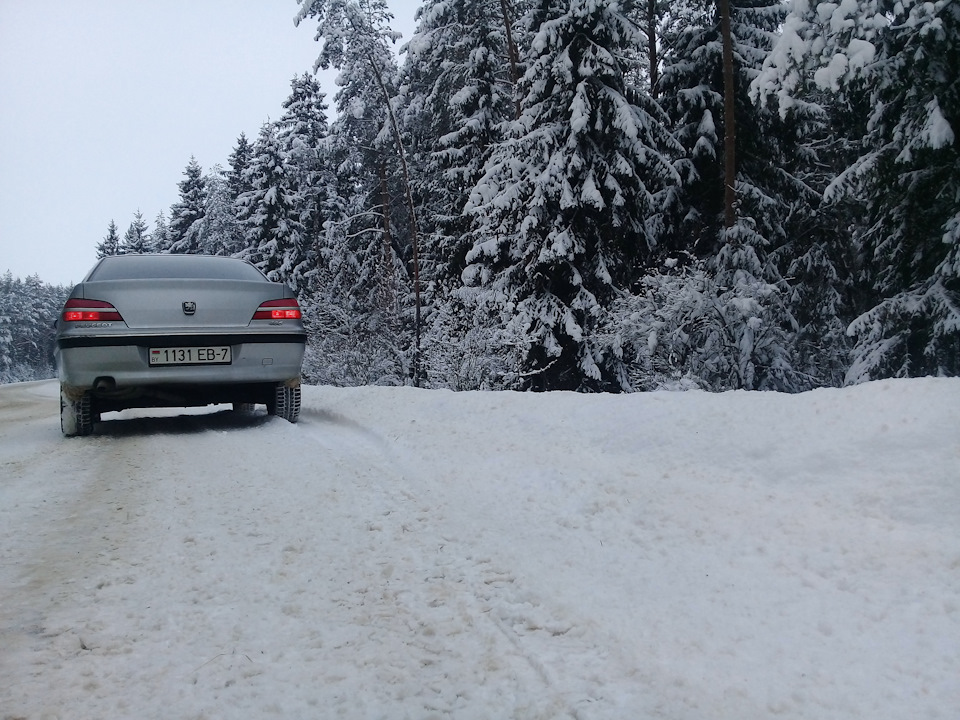Фото в бортжурнале Peugeot 406. Запчасти на фото: 1131E8