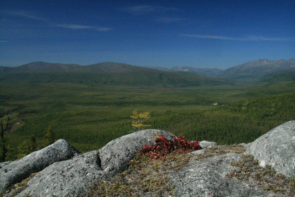 Джергинский заповедник Флора