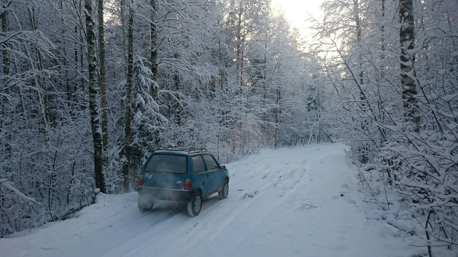 Автомобиль сеаз 11113 02 фото