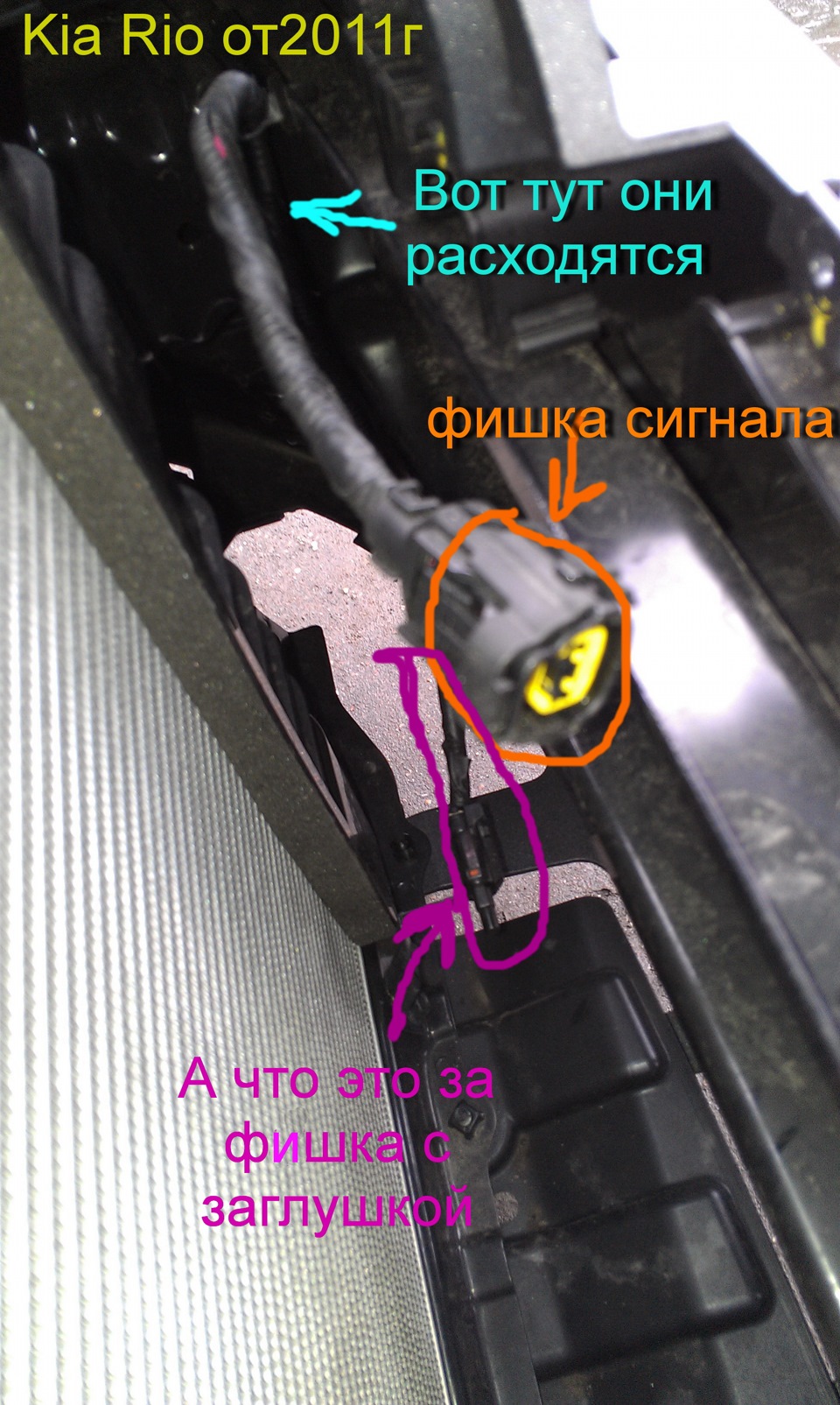 Под капотом! — KIA Rio (3G), 1,6 л, 2012 года | электроника | DRIVE2