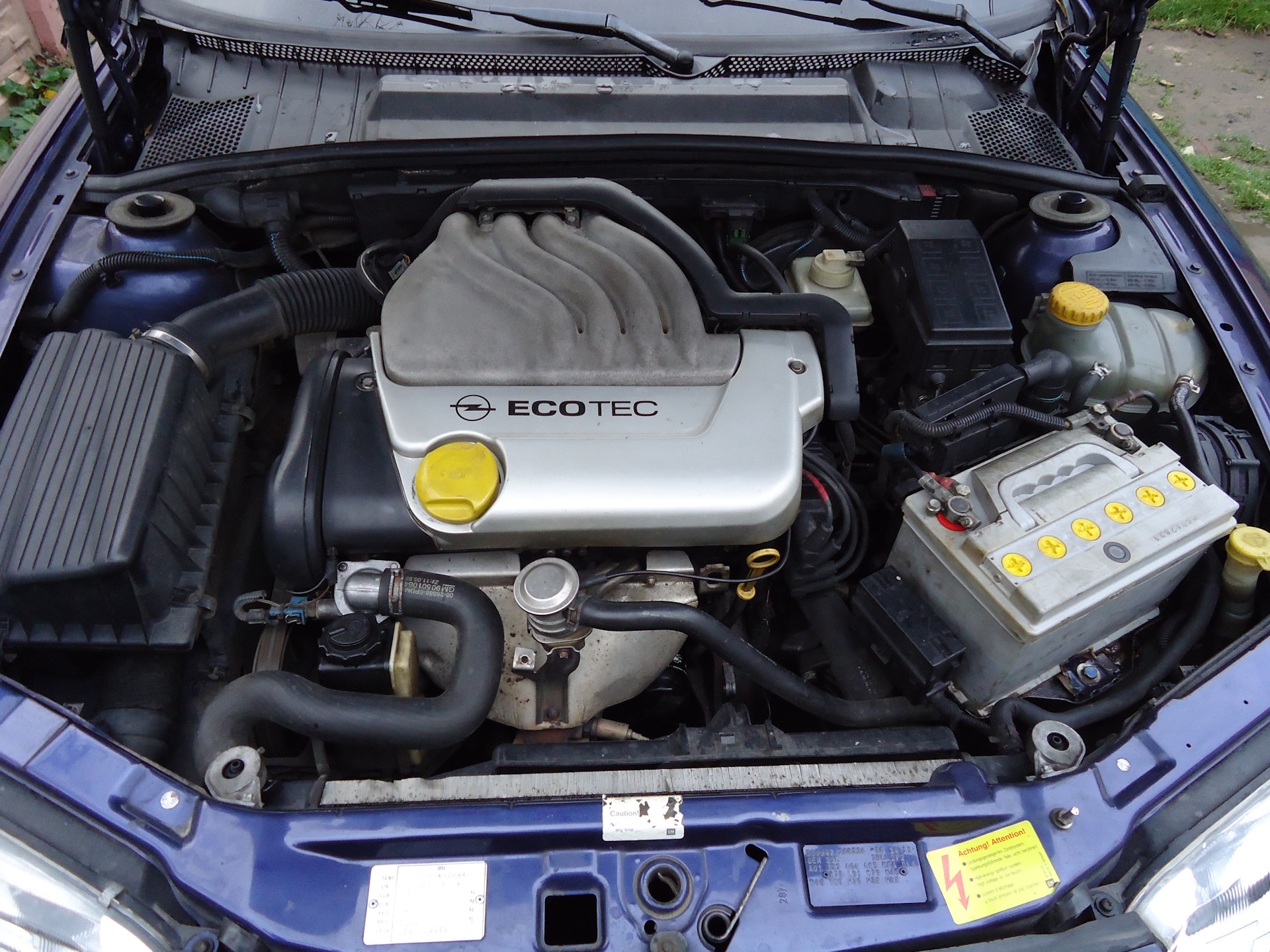 Опель вектра б 1.6 бензин. Opel Vectra b 1.6. Opel Vectra 1.6. Опель Вектра 1996 1-6 мотор. Opel Vectra b 1.6 16v.