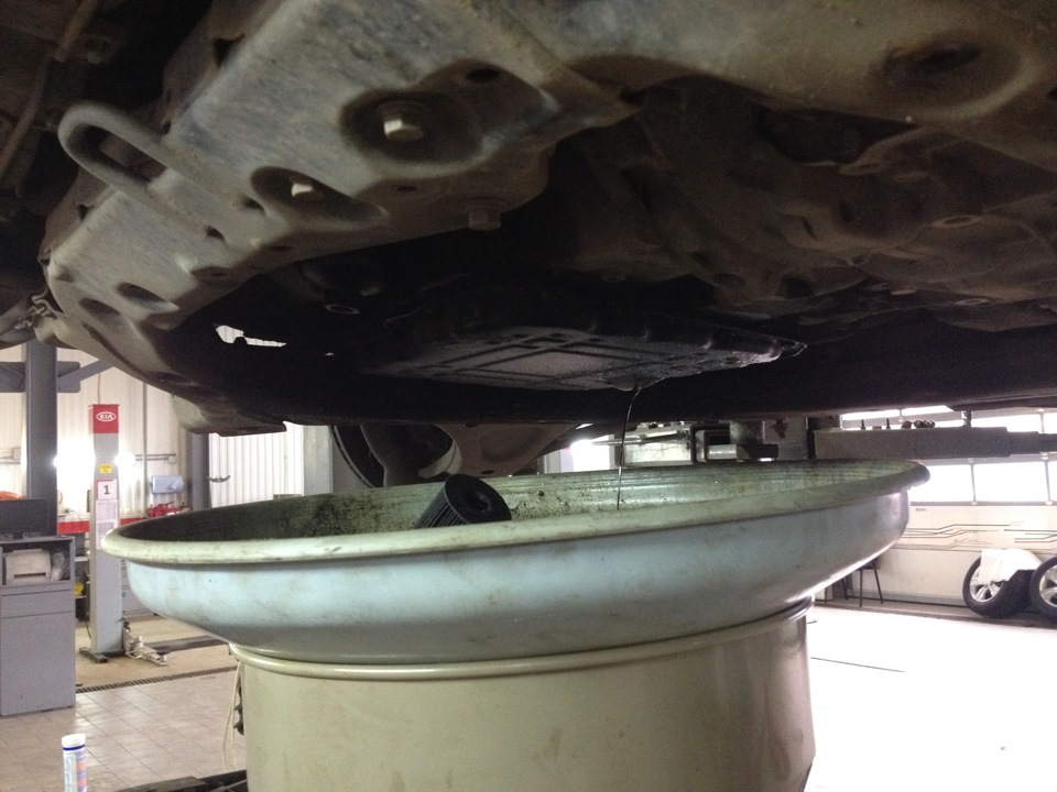 Я люблю свою лошадку, причешу ей шерстку гладко… или очередное ТО — KIA ...