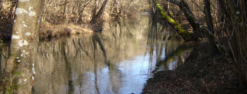 Фото в бортжурнале Volkswagen Polo Sedan