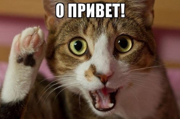 дверь мтз своими руками. Смотреть фото дверь мтз своими руками. Смотреть картинку дверь мтз своими руками. Картинка про дверь мтз своими руками. Фото дверь мтз своими руками