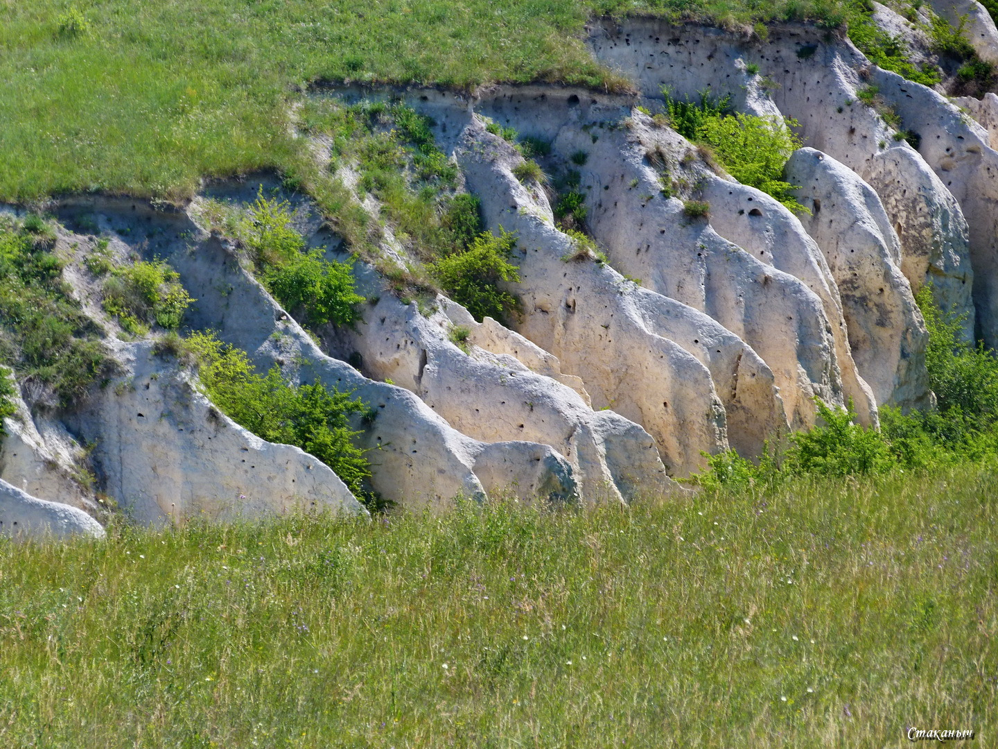 Костенки и Дивногорье