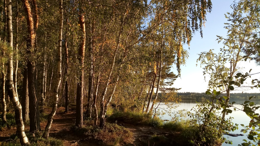 какая рыба водится в рубском озере ивановской области. Смотреть фото какая рыба водится в рубском озере ивановской области. Смотреть картинку какая рыба водится в рубском озере ивановской области. Картинка про какая рыба водится в рубском озере ивановской области. Фото какая рыба водится в рубском озере ивановской области