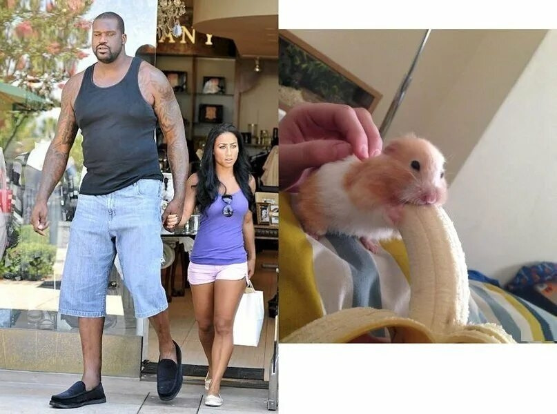 Подготовка зимних колес. Датчики + перешиповка — KIA Rio (4G), 1,6 л ...