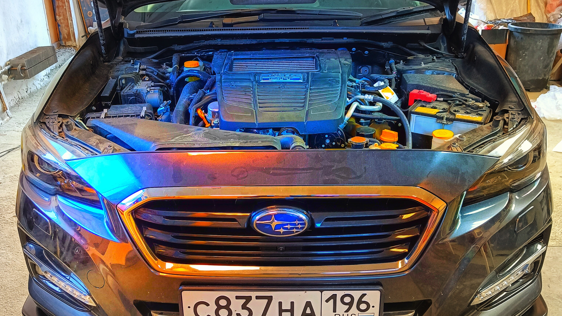 Subaru (1G) 1.6 бензиновый 2019 на DRIVE2