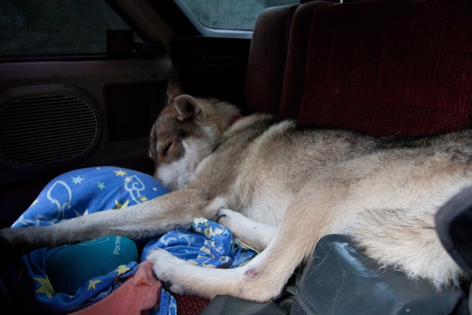 8EAAAgCy3OA 960 Мыс четырех скал как добраться