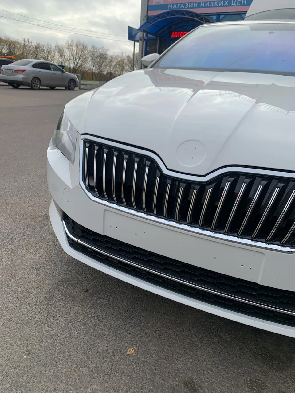 Led в ходовые и новый значок на капот — Skoda Superb Mk3, 1,4 л, 2017 года  | аксессуары | DRIVE2