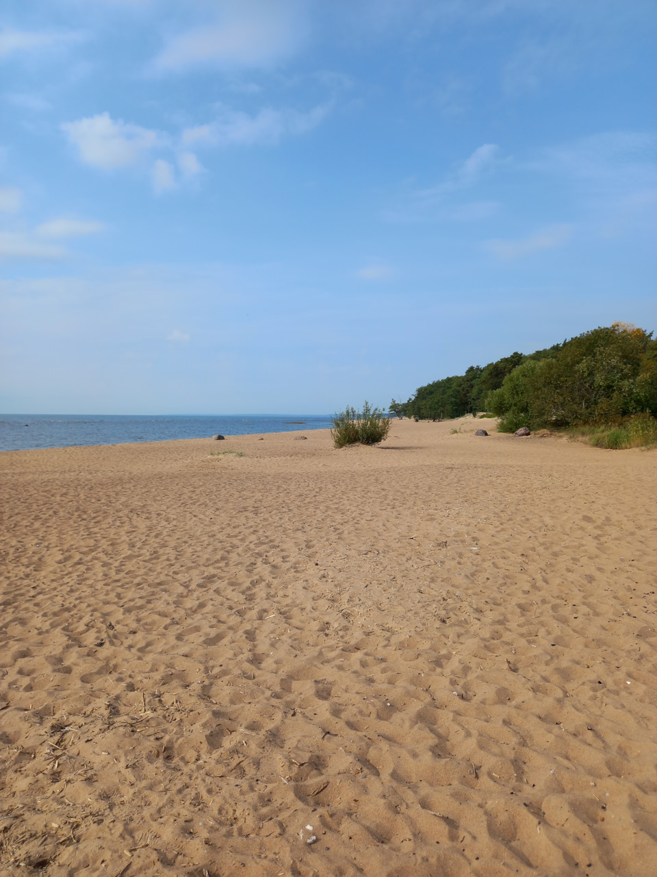 Фото в бортжурнале Renault Sandero 2G