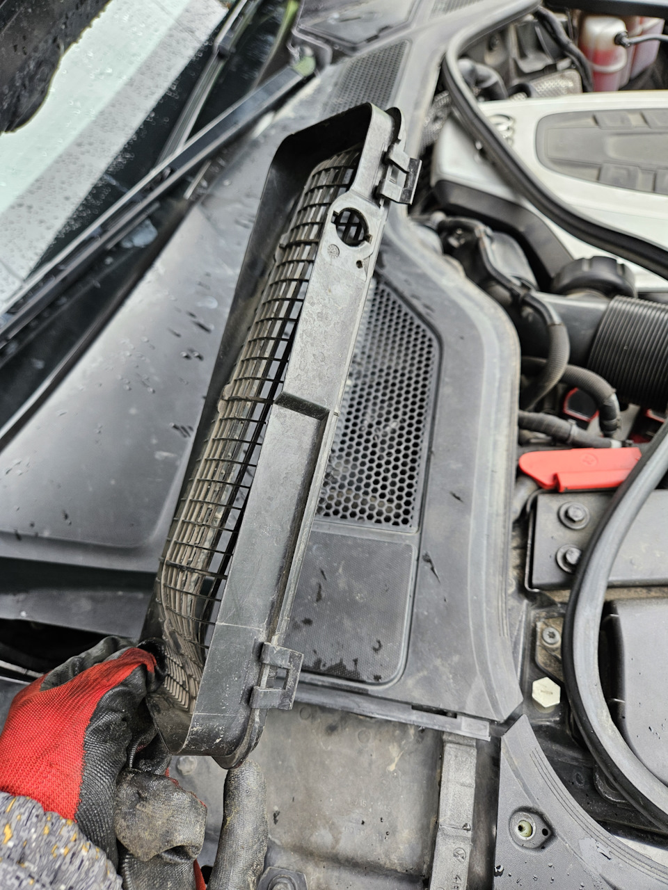 Фото в бортжурнале Audi A8 (D4)