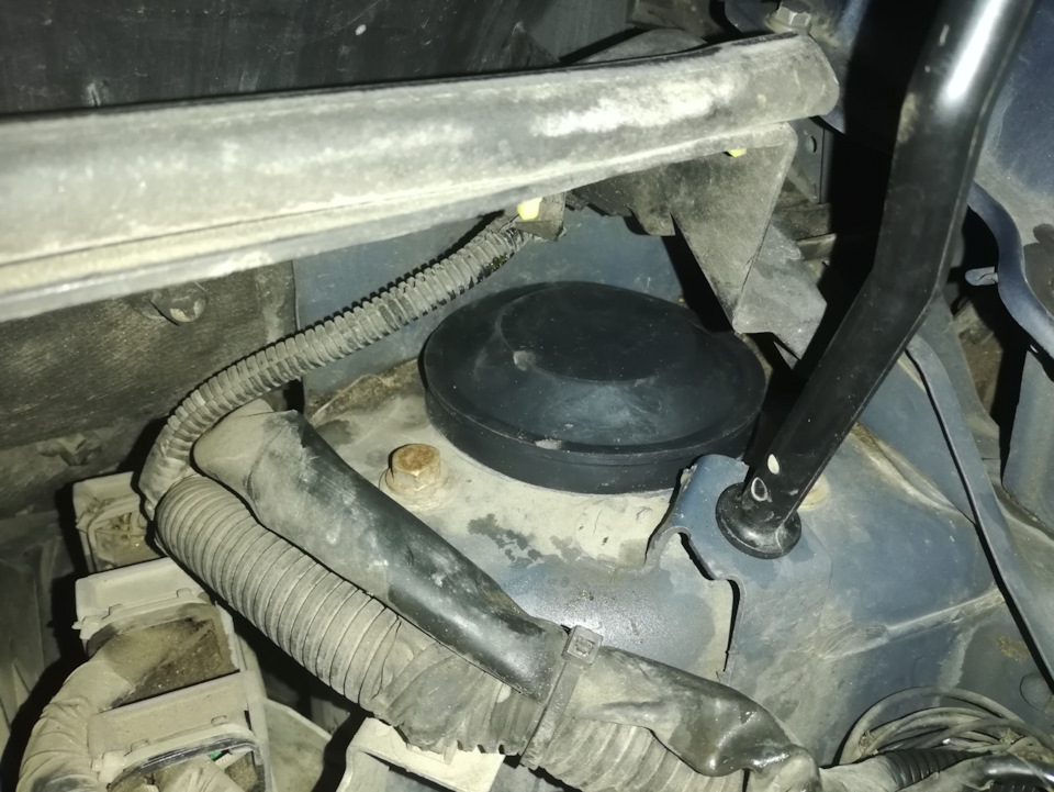 По советам опытных "Енотоводов" — Nissan Note (1G), 1,6 л, 2007 года ...