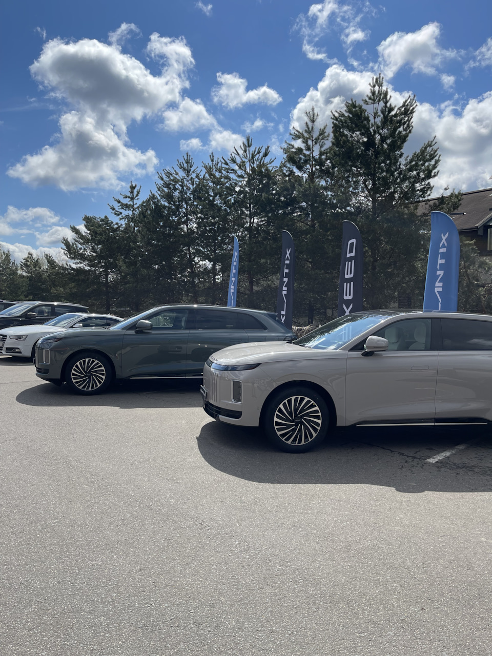 Испытуемые с героем поста на фоне. — Audi S5 (1G)