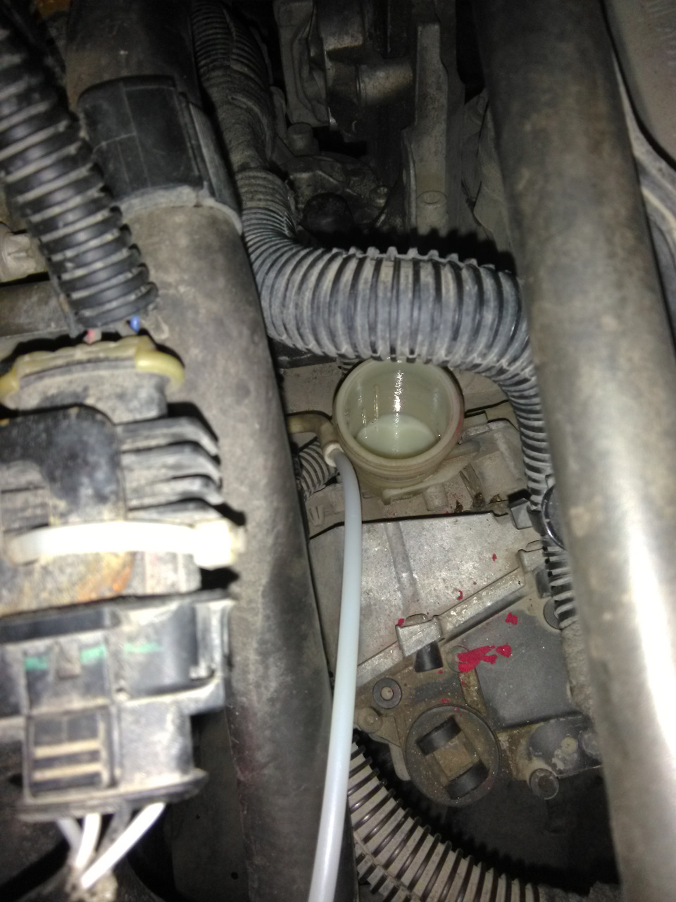 Замена жидкости изитроника + АДАПТАЦИЯ. — Opel Vectra C, 1,8 л, 2008 ...