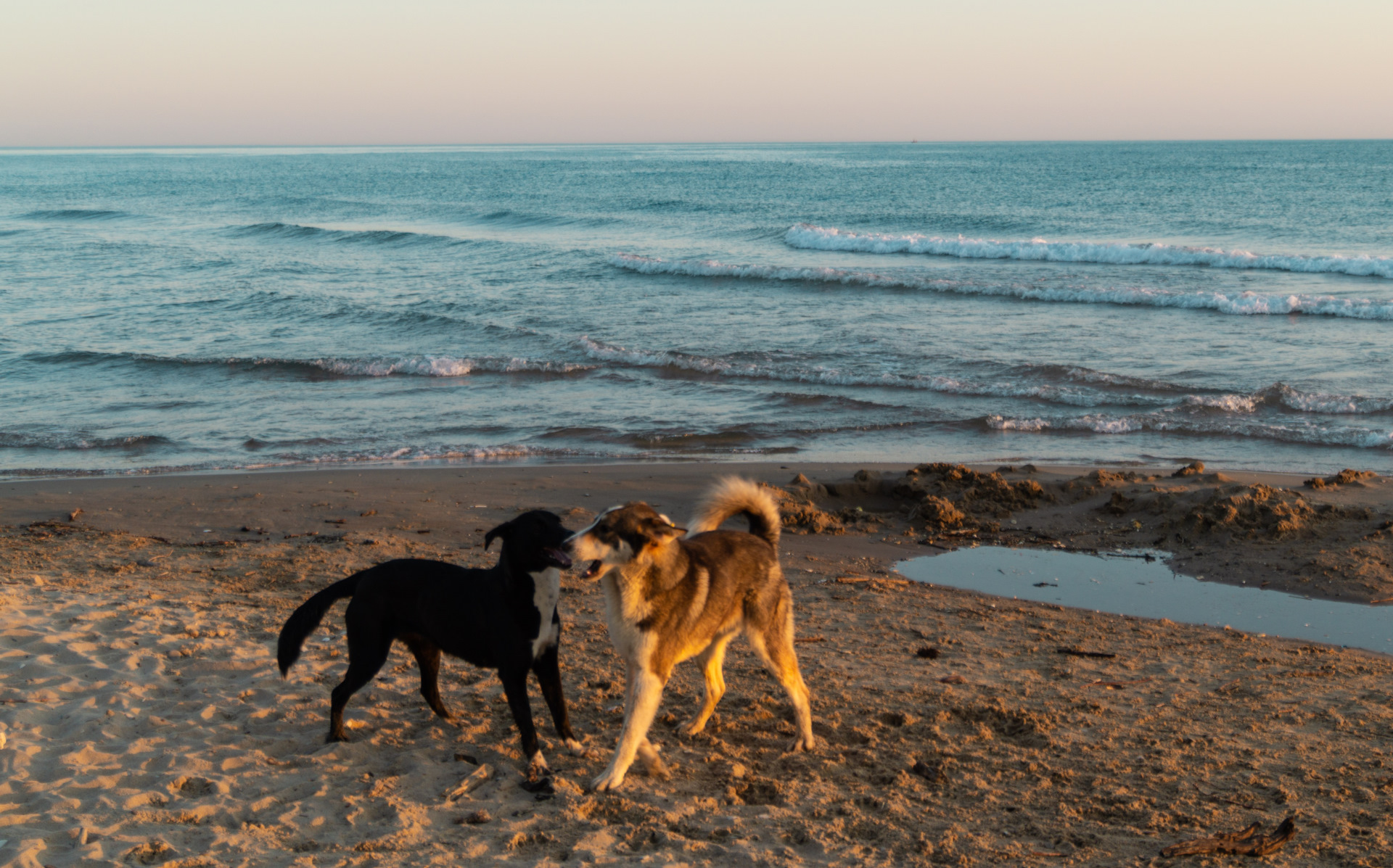 Кемпинг "Радужный" — Renault Kaptur (2016), 2 л, 2019 года ...