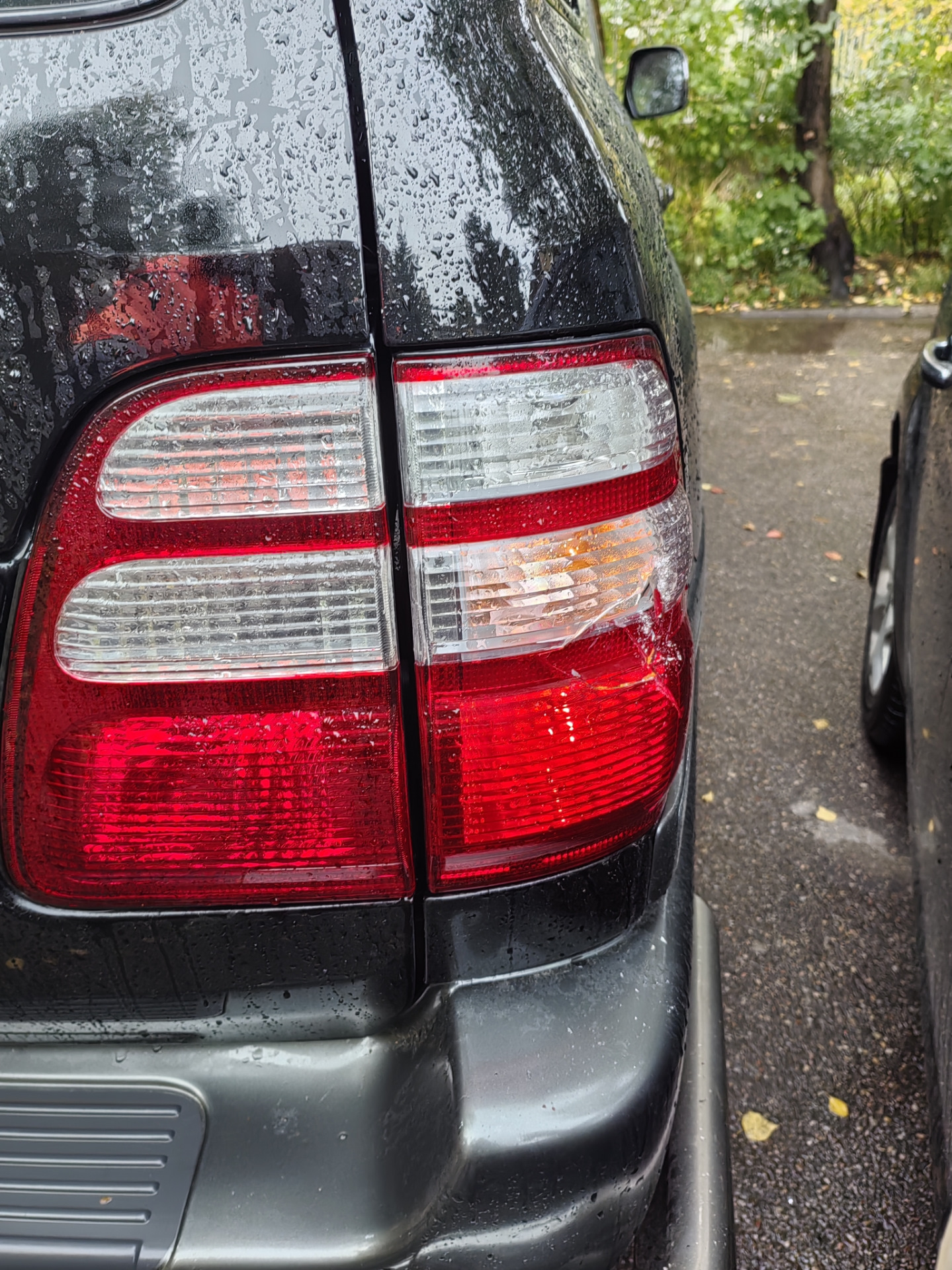 Маленькая неприятность или покупка подарка себе на будущий юбилей