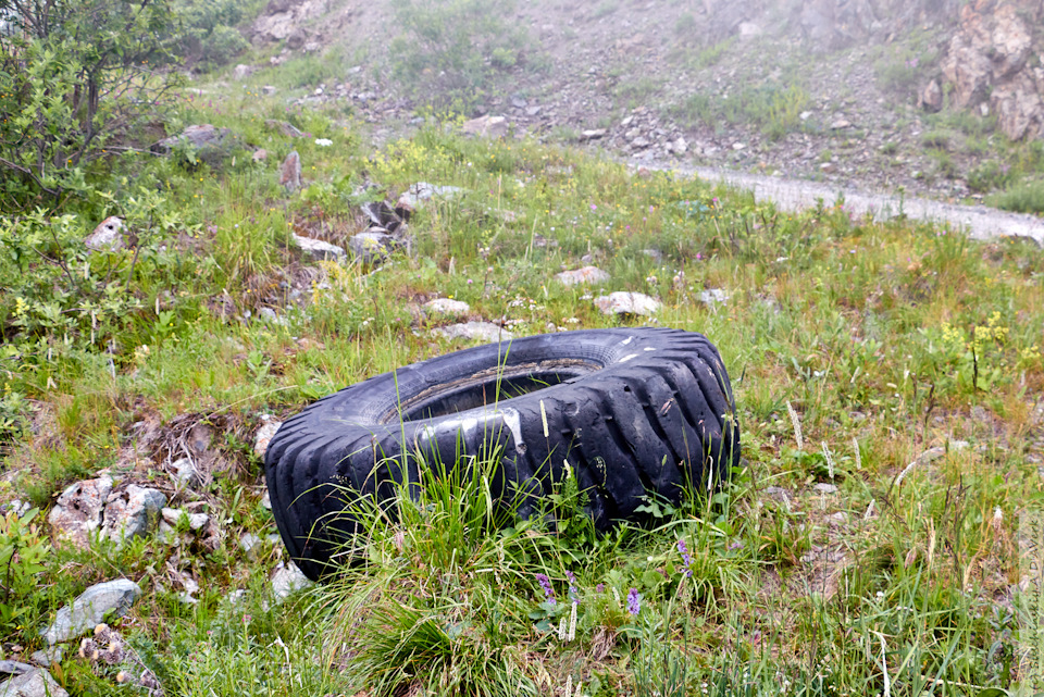 Фото в бортжурнале SsangYong Kyron