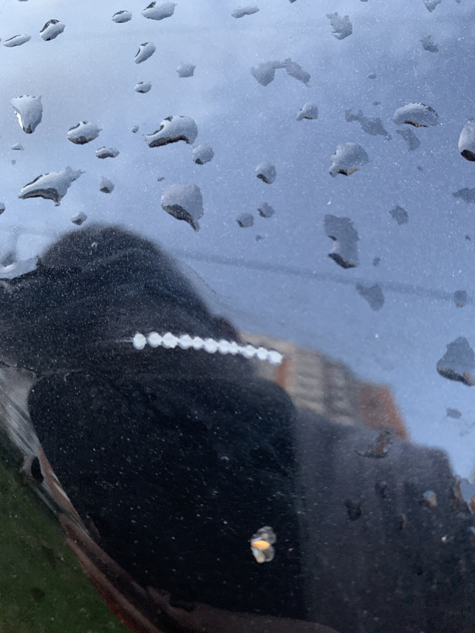 Скол/царапина — Mazda 3 (1G) BK, 1,6 л, 2007 года | другое | DRIVE2