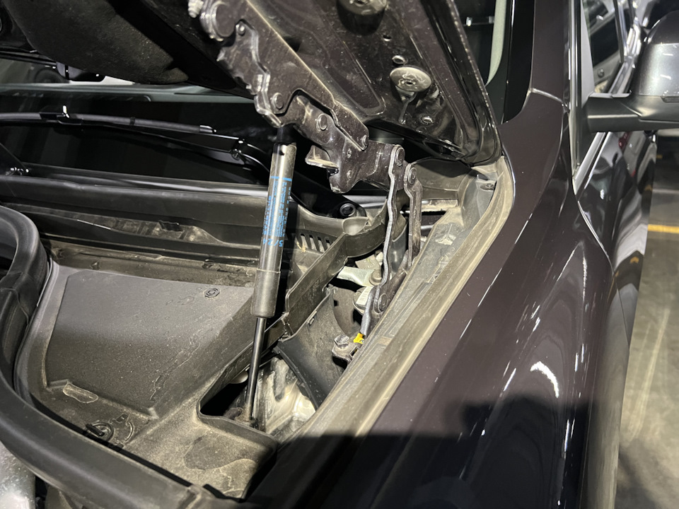 Фото в бортжурнале BMW X7 (G07)