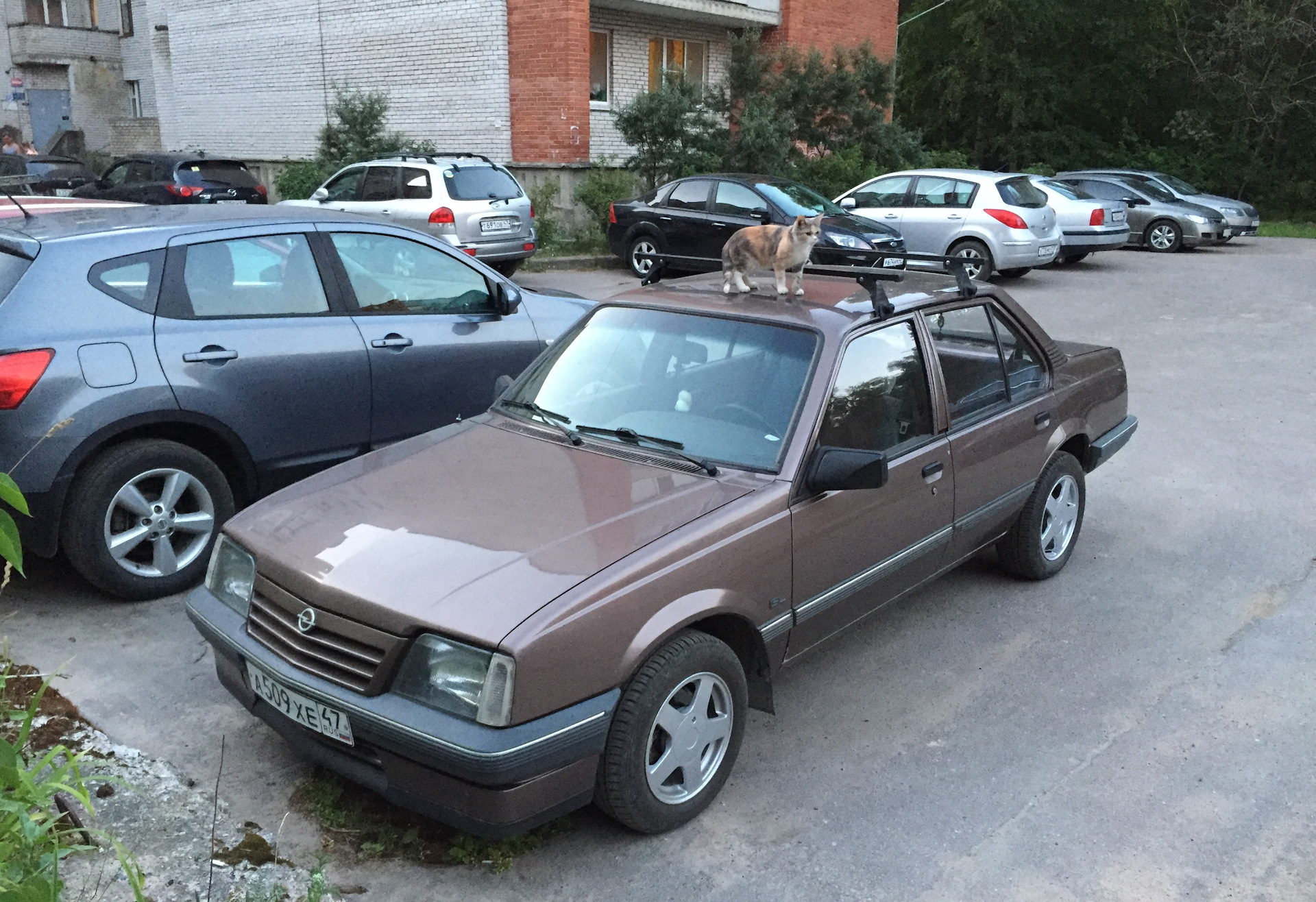 Опель аскона 1.6. Opel Ascona 1.6. Опель Аскона 1982. Опель Аскона привод.