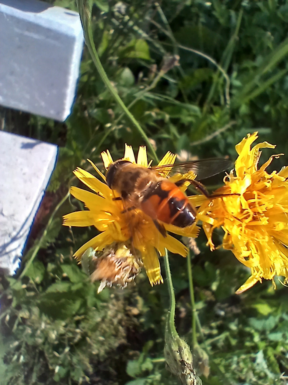 Фото в бортжурнале Renault Sandero 2G