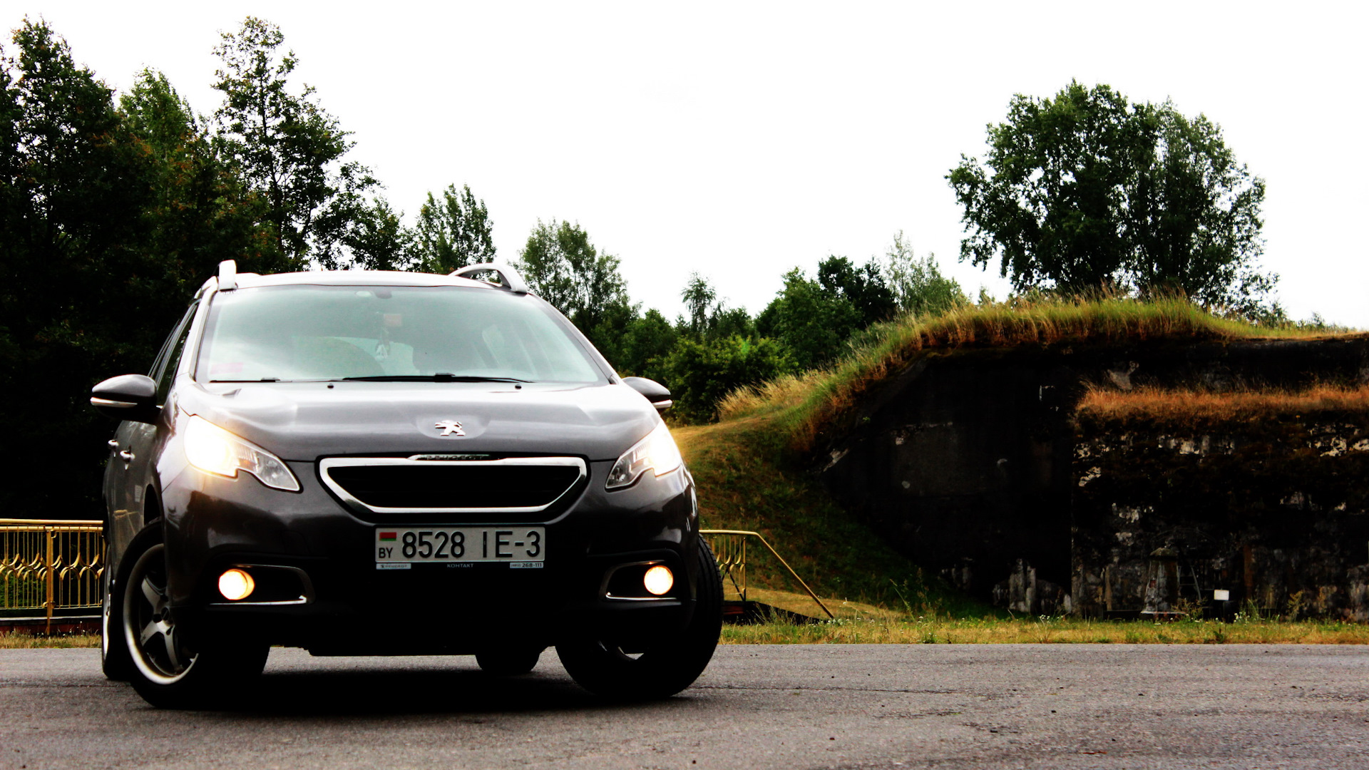 Peugeot 2008 (1G) 1.6 бензиновый 2014 | Породистый ЛЕВ на DRIVE2