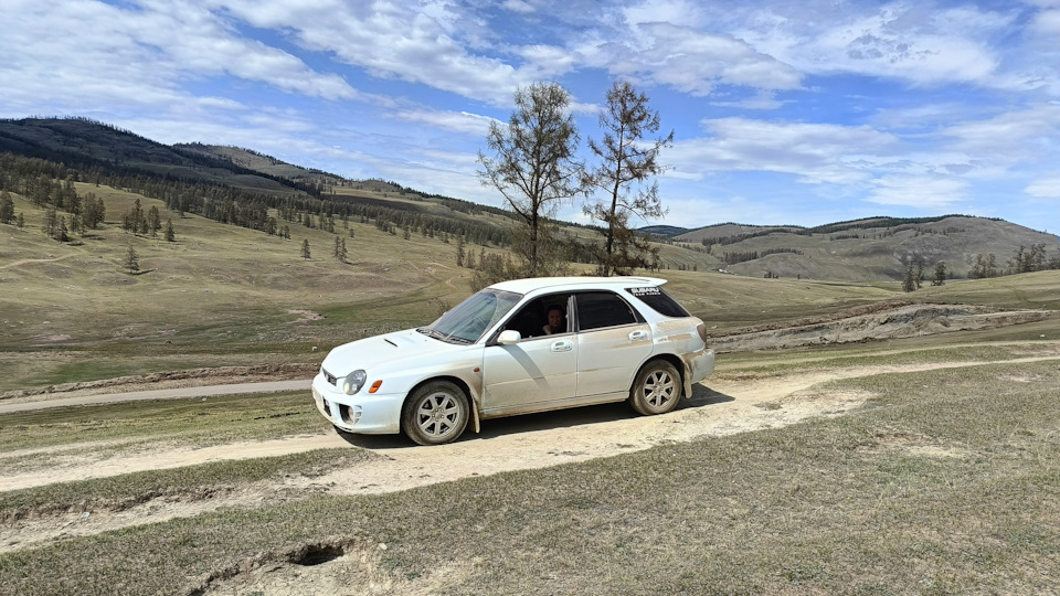 Две сосны — Subaru Impreza (GD/GG)