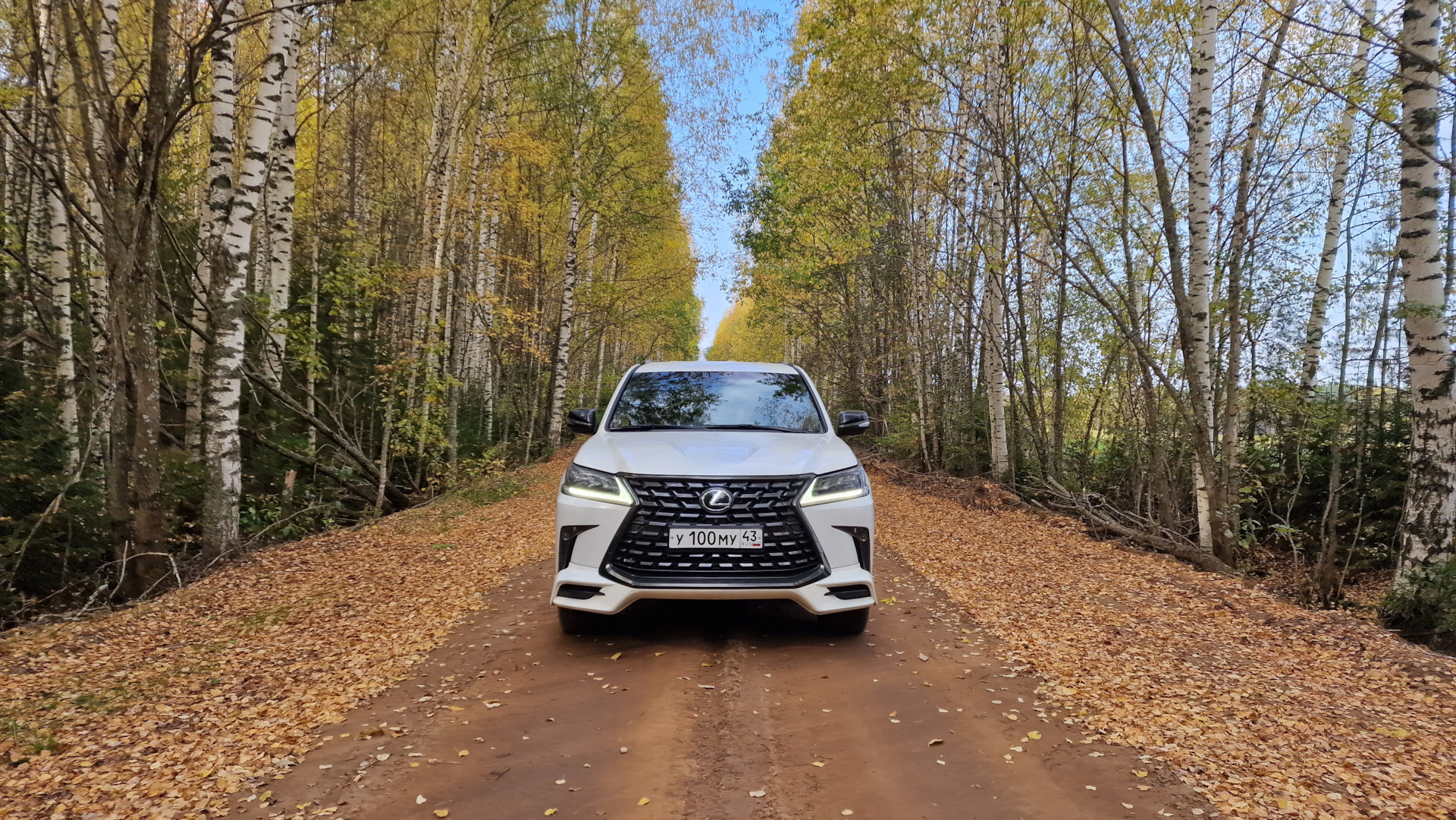 Осенний лес и его обитатели. — Lexus LX (URJ200/URJ201), 4,5 л, 2018 года |  путешествие | DRIVE2