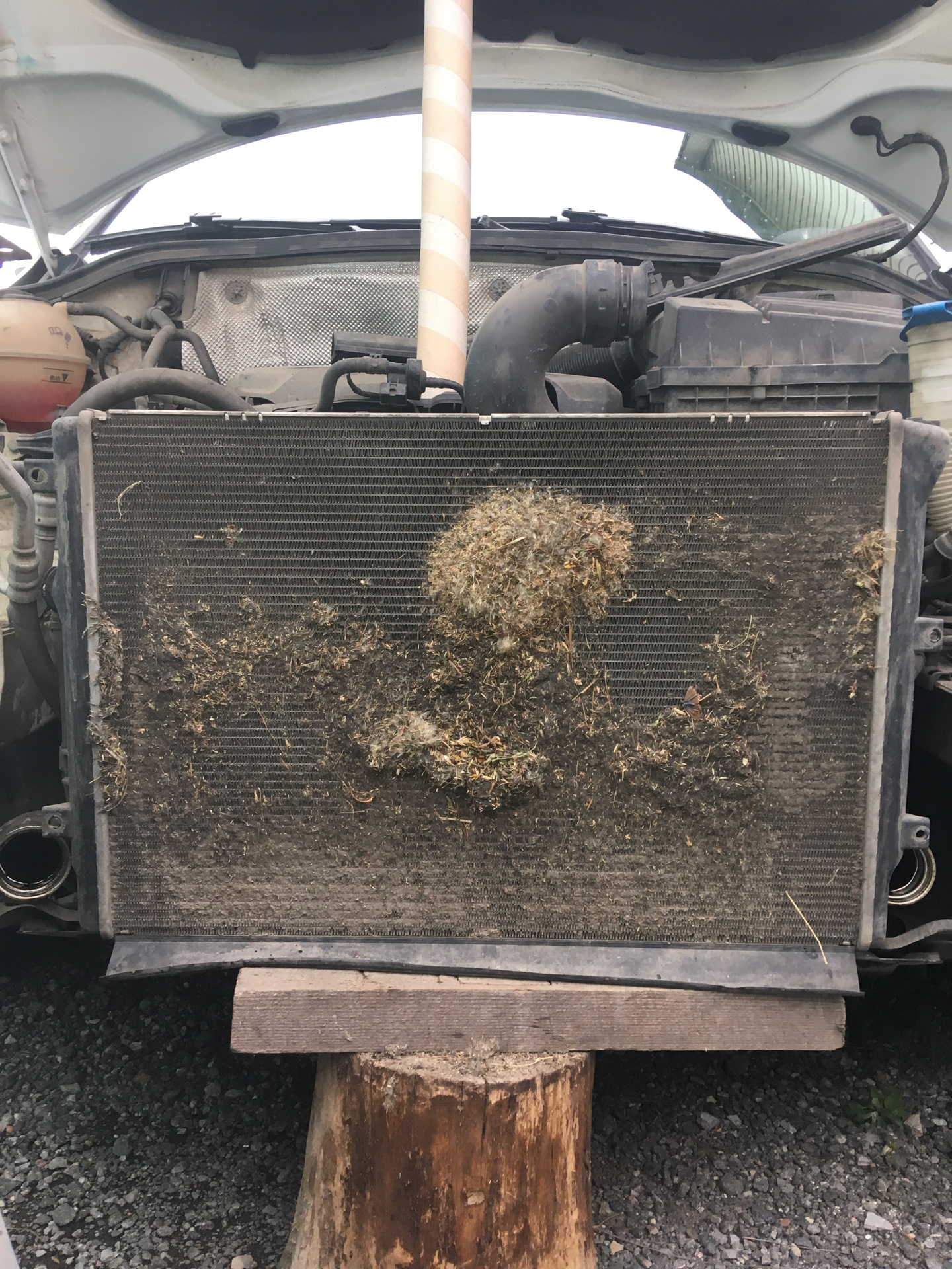 Радиатор тигуан 2. Мойка радиаторов tiguan 2. Тигуан промыть радиаторы. Тигуан промыть радиаторы. Тигуан промыть радиаторы.