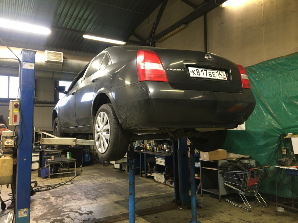 Фото в бортжурнале Nissan Primera (P12)