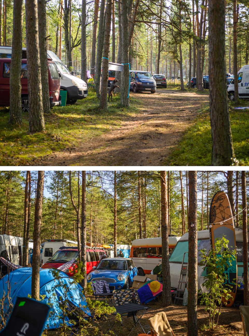 Как выйти в магазин за курткой, а оказаться на океане. Часть 7. Фестиваль  Hello Camper — Citroen CX, 2,5 л, 1986 года | путешествие | DRIVE2