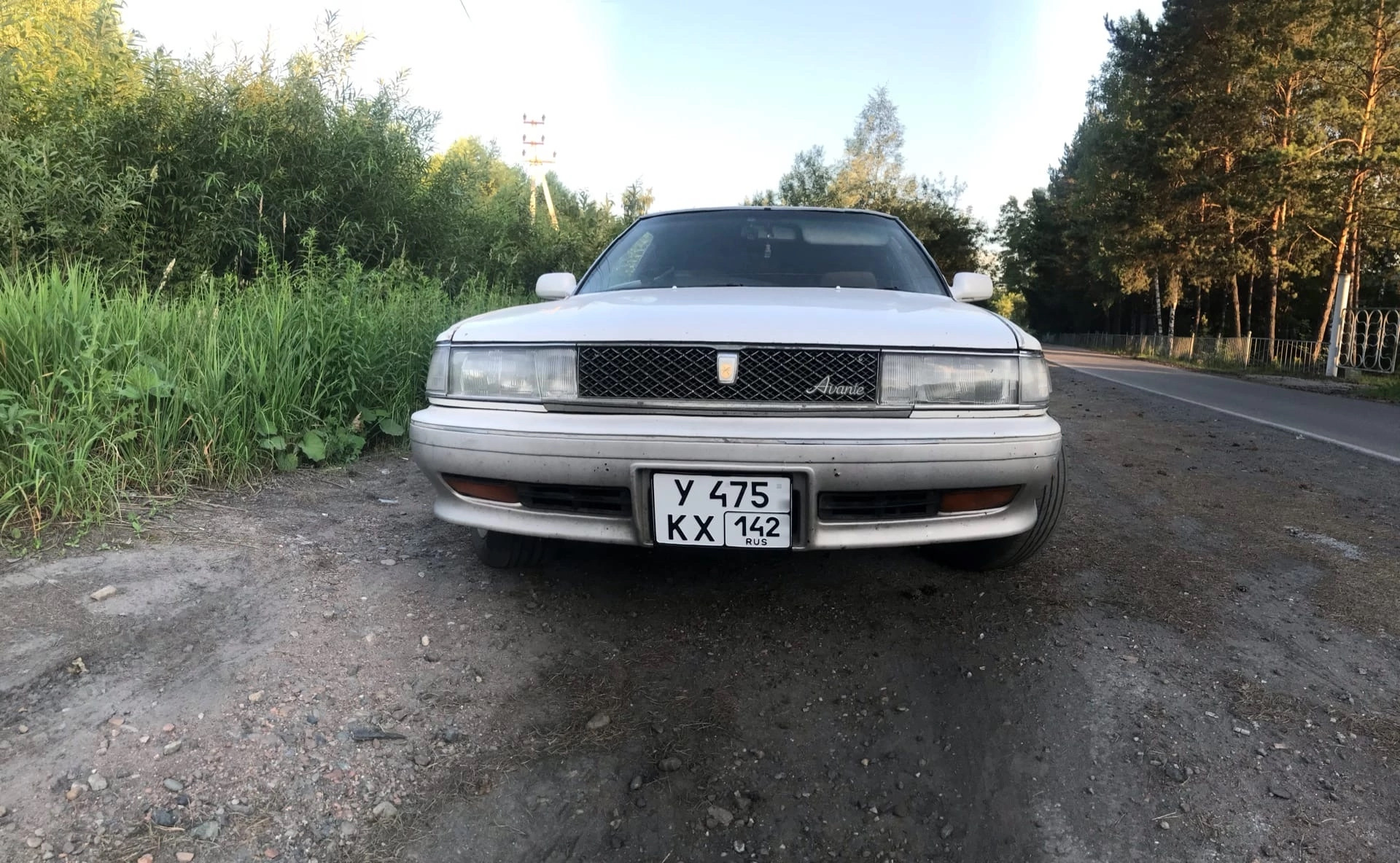 1 г фе