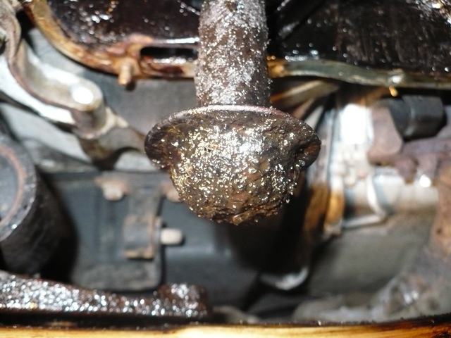 А что жители Чизбургерляндии льют в двигатели своих авто? (Это фотки не ...