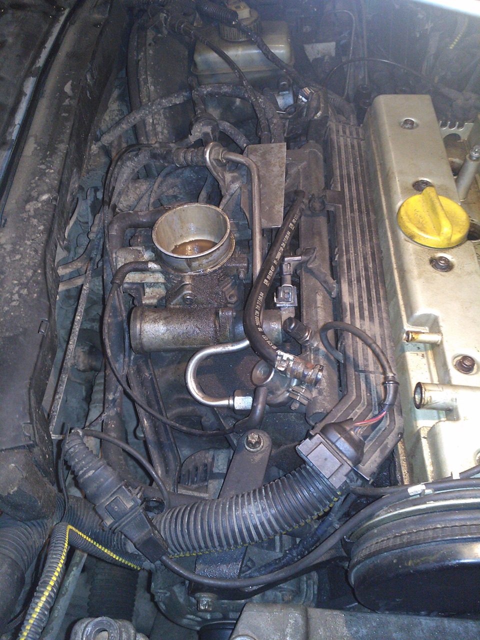 Фото в бортжурнале Opel Vectra B