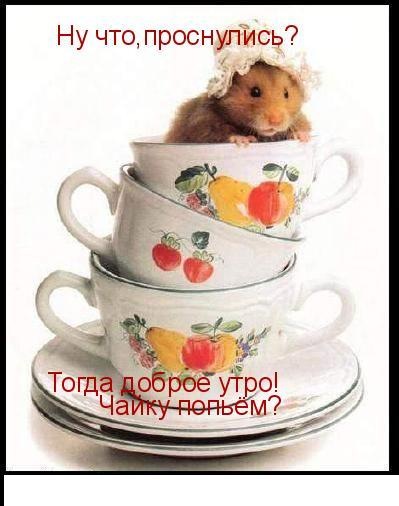 Чайная беседка