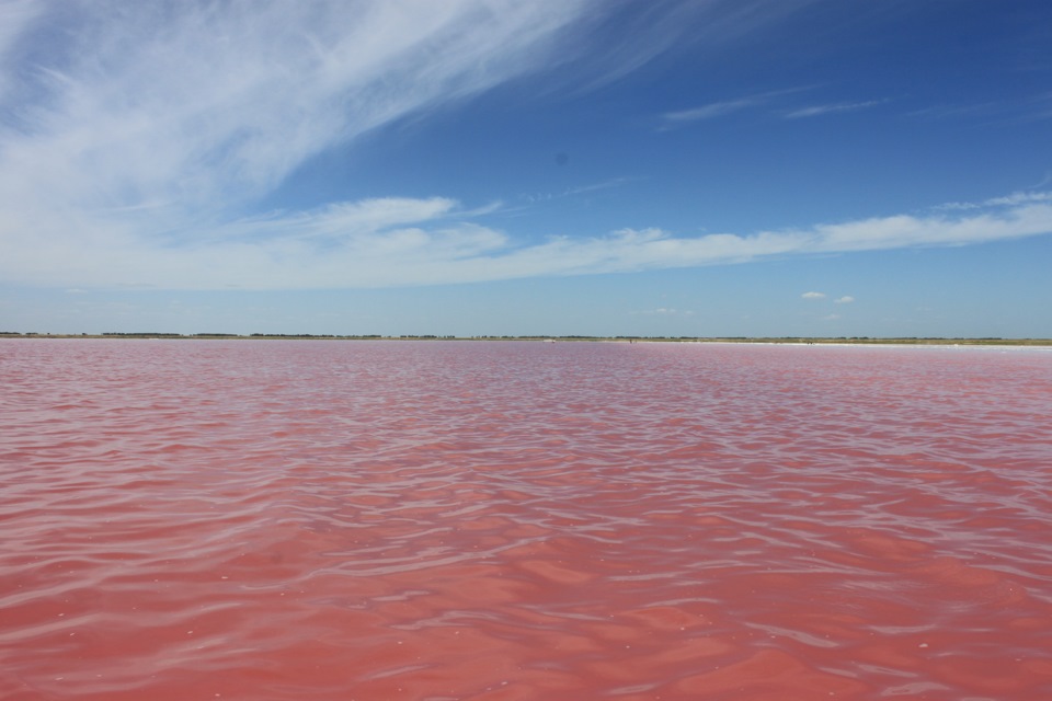 Розовое озеро яровое. Озеро Бурсоль. Озеро Бурсоль Яровое. Яровое малиновое озера Алтайский. Бурсоль озеро Алтайский край.
