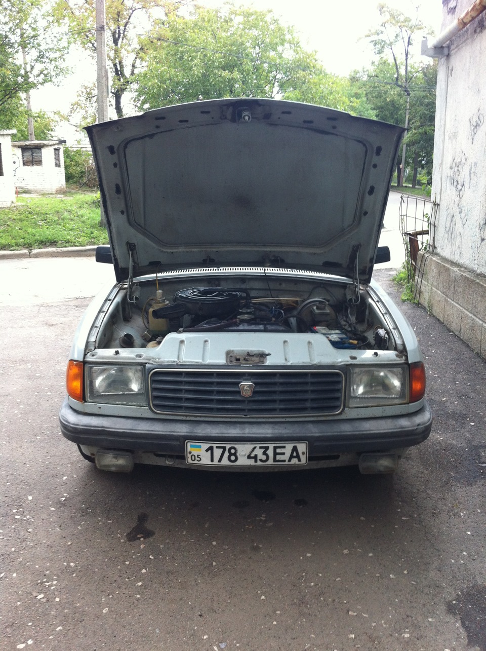 Просто фотографии ГАЗа — ГАЗ 31029, 2,4 л, 1996 года | фотография | DRIVE2