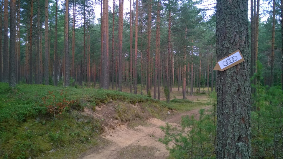 Указатели, чтобы не заблудиться :) — Audi 100 (C4)