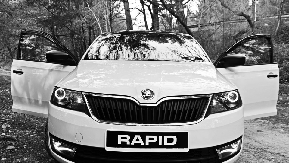Резина на зиму — Skoda Rapid (1G), 1,6 л, 2016 года | шины | DRIVE2