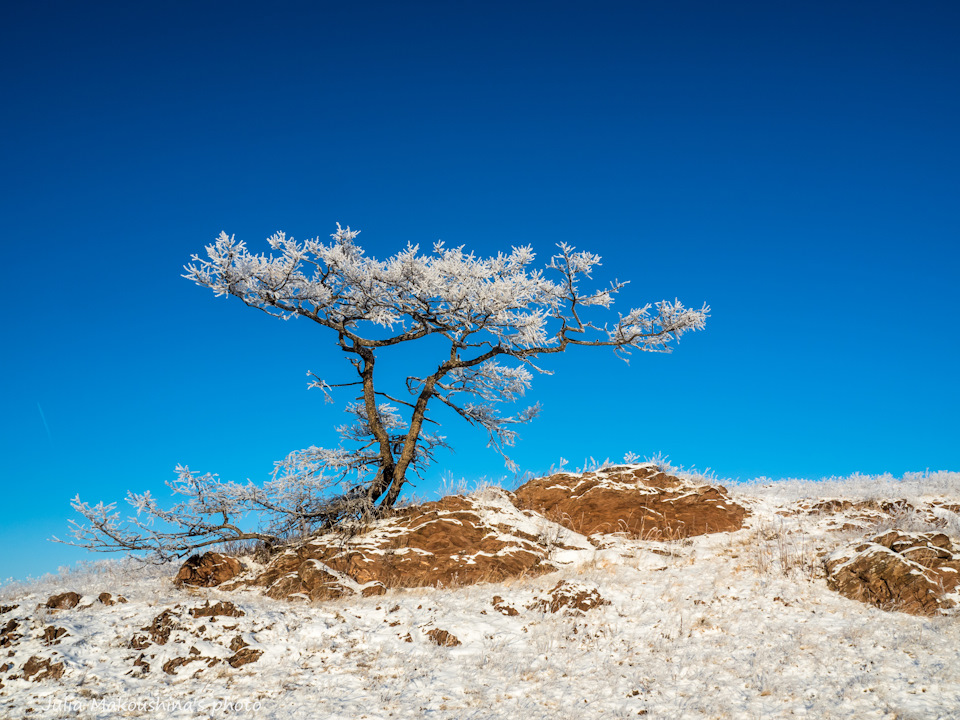 Что делать джиперу в районе Шира зимой — Toyota Land Cruiser 80, 4,2 л ...