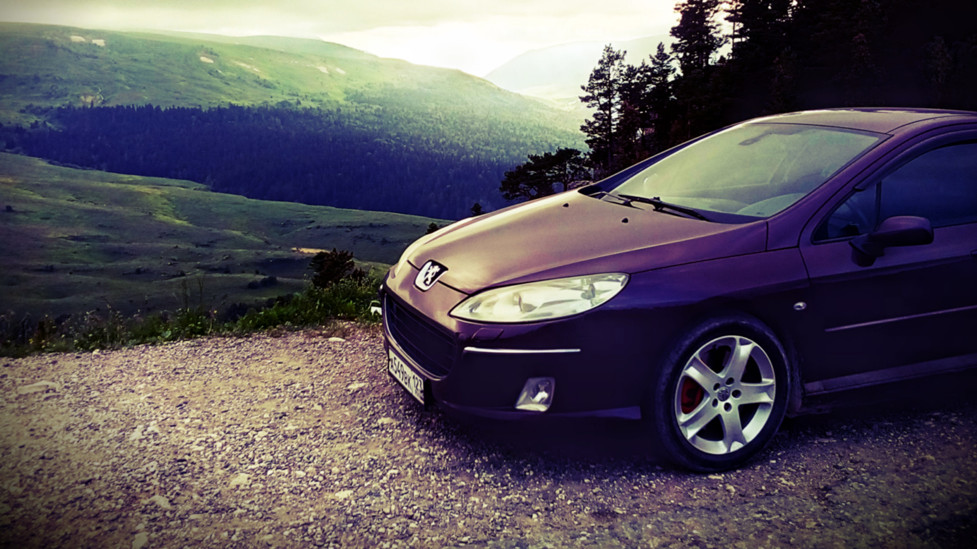 Peugeot 407 2.2 бензиновый 2004 | Prune Monte Cristo на DRIVE2