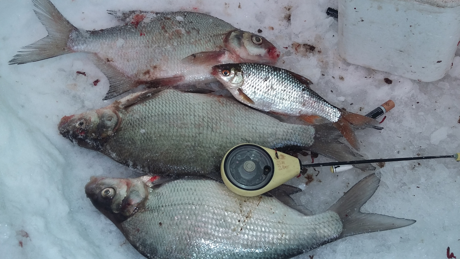 Рыбалка на воронежском водохранилище. Зимняя рыбалка Воронеж. Рыбалка на Воронежском водохранилище зимой. Рыба в лунке.